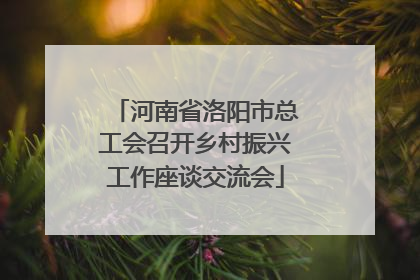河南省洛阳市总工会召开乡村振兴工作座谈交流会