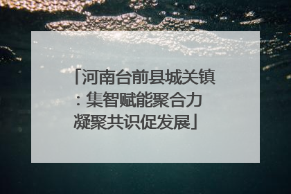 河南台前县城关镇：集智赋能聚合力 凝聚共识促发展