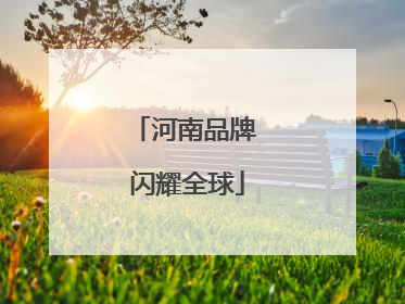 河南品牌 闪耀全球