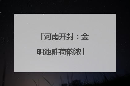 河南开封：金明池畔荷韵浓