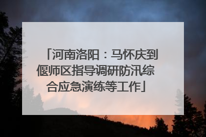 河南洛阳：马怀庆到偃师区指导调研防汛综合应急演练等工作