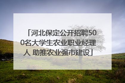 河北保定公开招聘500名大学生农业职业经理人 助推农业强市建设