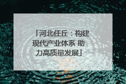 河北任丘：构建现代产业体系 助力高质量发展