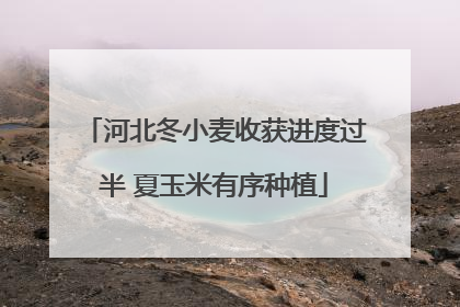河北冬小麦收获进度过半 夏玉米有序种植