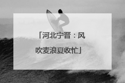 河北宁晋：风吹麦浪夏收忙