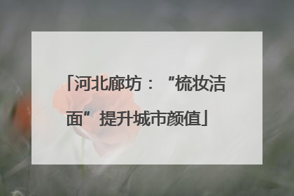 河北廊坊：“梳妆洁面”提升城市颜值