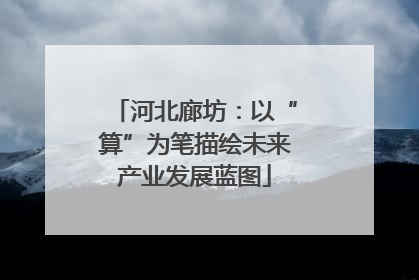 河北廊坊：以“算”为笔描绘未来产业发展蓝图