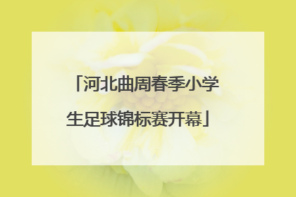 河北曲周春季小学生足球锦标赛开幕
