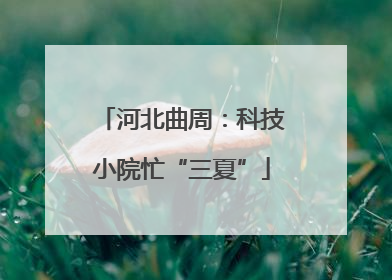 河北曲周：科技小院忙“三夏”