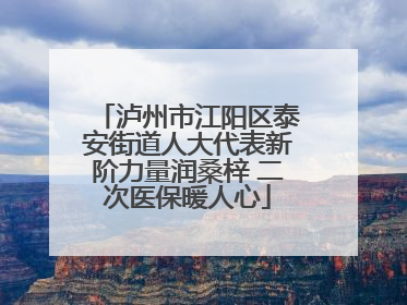 泸州市江阳区泰安街道人大代表新阶力量润桑梓 二次医保暖人心