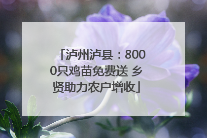 泸州泸县：8000只鸡苗免费送 乡贤助力农户增收