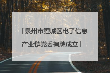 泉州市鲤城区电子信息产业链党委揭牌成立