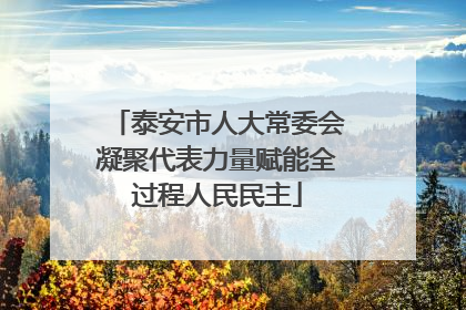 泰安市人大常委会凝聚代表力量赋能全过程人民民主