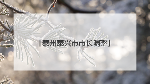泰州泰兴市市长调整