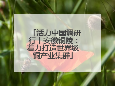 活力中国调研行丨安徽铜陵：着力打造世界级铜产业集群