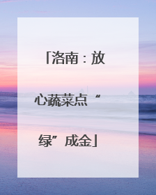 洛南：放心蔬菜点“绿”成金