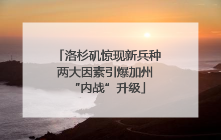 洛杉矶惊现新兵种 两大因素引爆加州“内战”升级