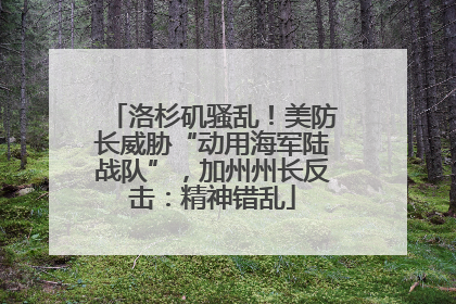洛杉矶骚乱！美防长威胁“动用海军陆战队”，加州州长反击：精神错乱