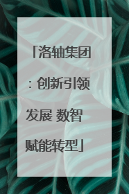 洛轴集团：创新引领发展 数智赋能转型