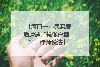 海口一市民买房后遭遇“镜像户型”，律师说法