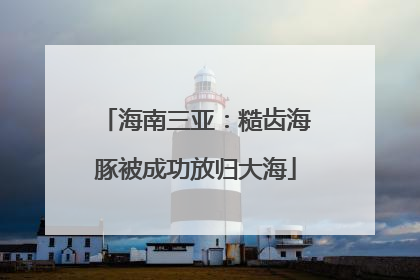 海南三亚：糙齿海豚被成功放归大海
