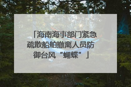 海南海事部门紧急疏散船舶撤离人员防御台风“蝴蝶”