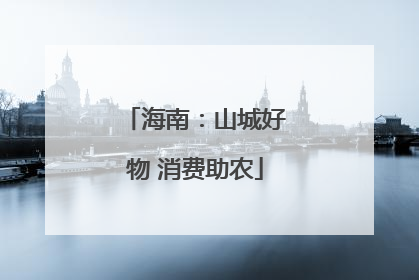 海南：山城好物 消费助农