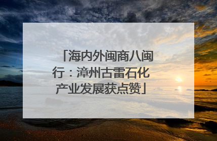 海内外闽商八闽行：漳州古雷石化产业发展获点赞
