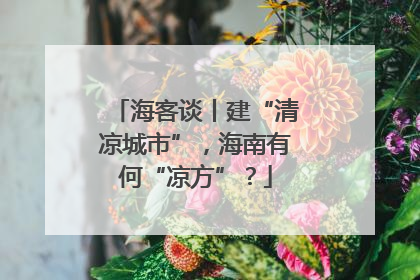 海客谈丨建“清凉城市”，海南有何“凉方”？