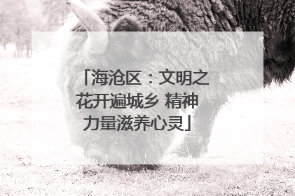 海沧区：文明之花开遍城乡 精神力量滋养心灵