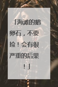 海滩的鹅卵石，不要捡！会有很严重的后果！