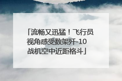 流畅又迅猛！飞行员视角感受数架歼-10战机空中近距格斗