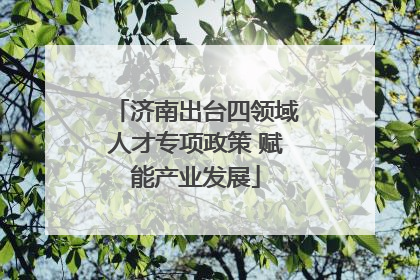 济南出台四领域人才专项政策 赋能产业发展