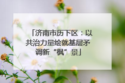 济南市历下区：以共治力量绘就基层矛调新“枫”景