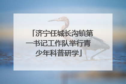 济宁任城长沟镇第一书记工作队举行青少年科普研学