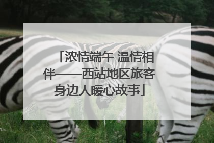 浓情端午 温情相伴——西站地区旅客身边人暖心故事