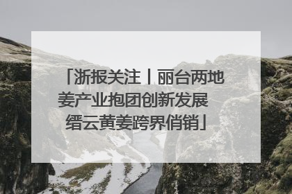 浙报关注丨丽台两地姜产业抱团创新发展 缙云黄姜跨界俏销