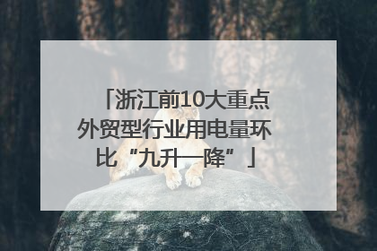 浙江前10大重点外贸型行业用电量环比“九升一降”