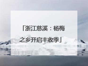 浙江慈溪：杨梅之乡开启丰收季