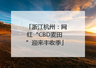 浙江杭州：网红“CBD麦田”迎来丰收季