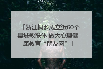 浙江桐乡成立近60个县域教联体 做大心理健康教育“朋友圈”