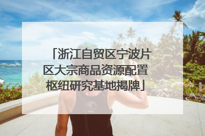 浙江自贸区宁波片区大宗商品资源配置枢纽研究基地揭牌