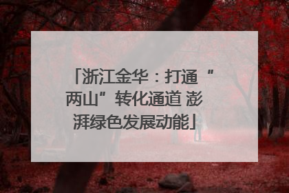 浙江金华：打通“两山”转化通道 澎湃绿色发展动能