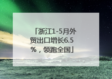浙江1-5月外贸出口增长6.5%，领跑全国