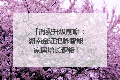 消费升级前瞻：湖南金证把脉智能家居增长逻辑