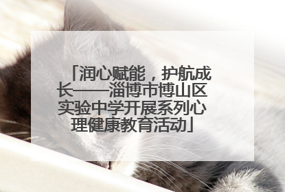 润心赋能，护航成长——淄博市博山区实验中学开展系列心理健康教育活动