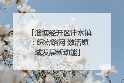 淄博经开区沣水镇：织密路网 激活镇域发展新动能
