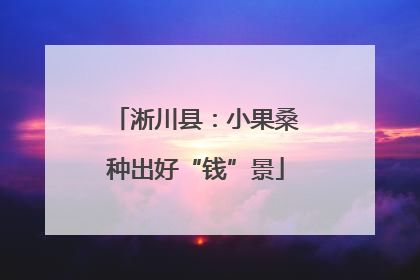 淅川县：小果桑种出好“钱”景