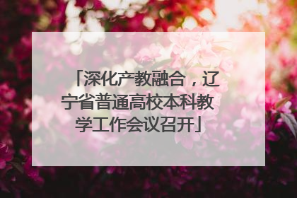 深化产教融合，辽宁省普通高校本科教学工作会议召开