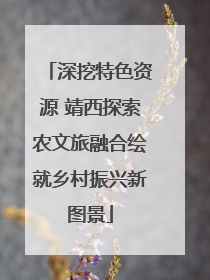 深挖特色资源 靖西探索农文旅融合绘就乡村振兴新图景